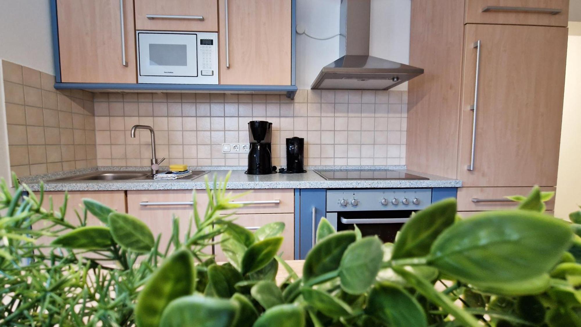 Ferienwohnung Strandmuschel Ostseebad Kühlungsborn Εξωτερικό φωτογραφία